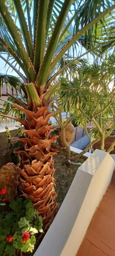 La Casa Al Mare Vulcano Đảo Vulcano Ngoại thất bức ảnh