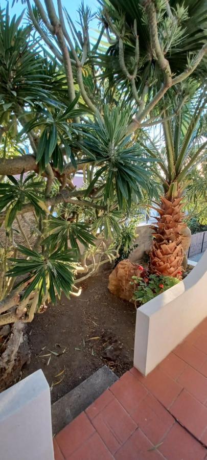 La Casa Al Mare Vulcano Đảo Vulcano Ngoại thất bức ảnh